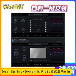 Physical Audio Dual Spring+Dynamic Plate板式混响一键安装win-阿九音频