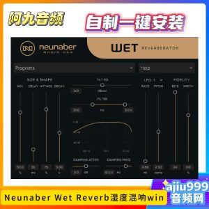 Neunaber Wet Reverb湿度混响一键安装win-阿九音频