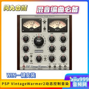 PSP VintageWarmer2动态控制音染一键安装WIN-阿九音频