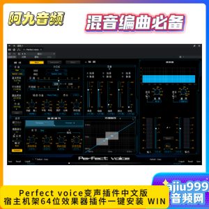 Perfect voice变声插件中文版 宿主机架64位效果器插件一键安装 WIN-阿九音频