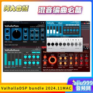 ValhallaDSP bundle 2024.11.CE – V.R MAC-阿九音频