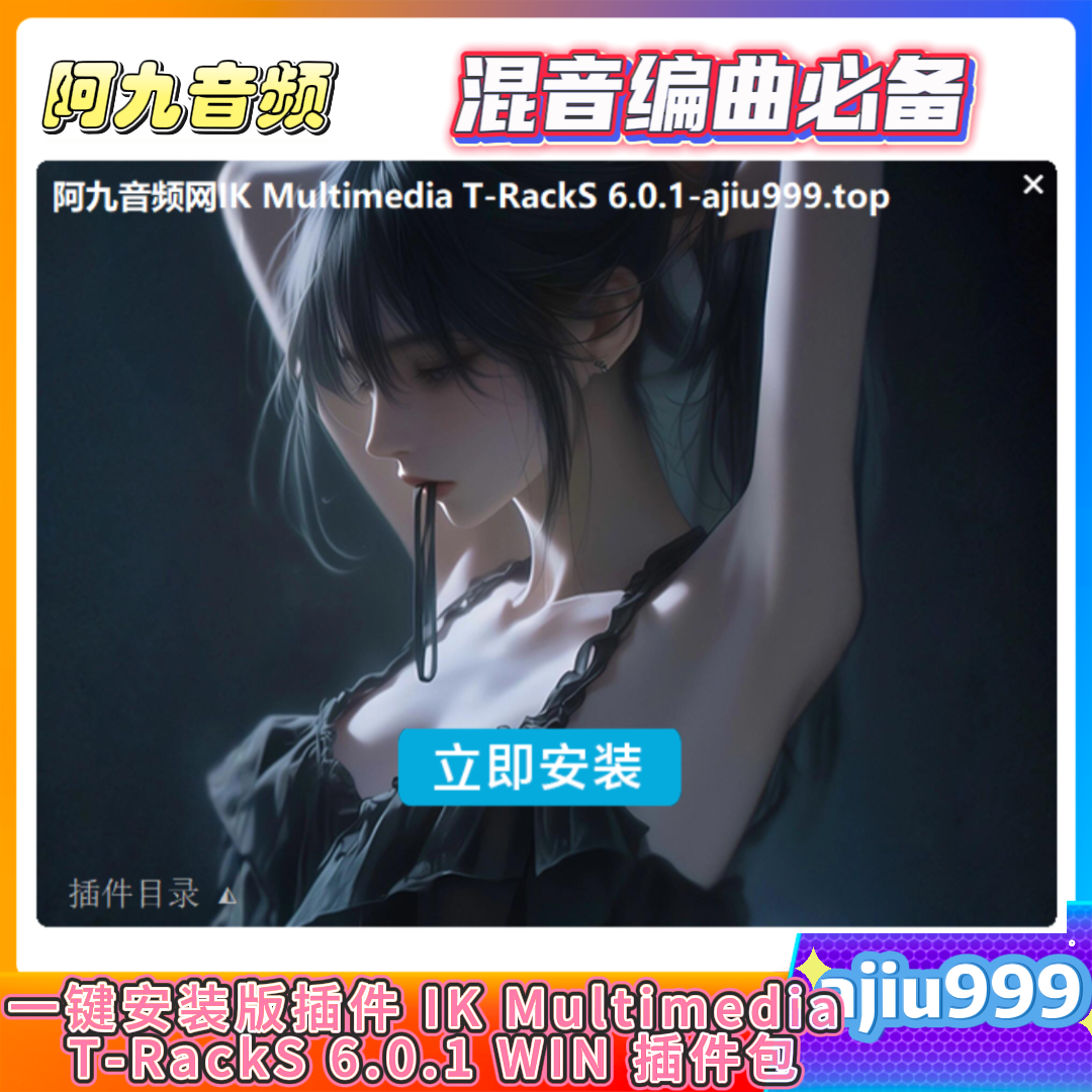 阿九自制 IK Multimedia T-RackS 6.0.1 WIN一键安装版插件包-阿九音频