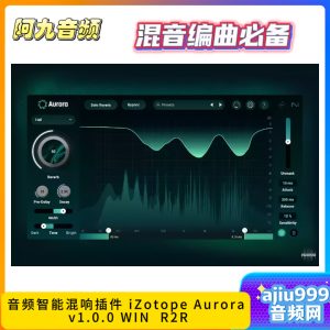 音频智能混响插件 iZotope Aurora v1.0.0 WIN R2R-阿九音频