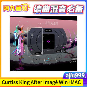 现代混响 Curtiss King After Imagé 64bit V.1.0.4 Win+MAC-阿九音频