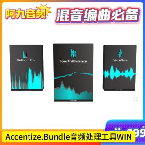 Accentize.Bundle音频处理工具WIN-阿九音频