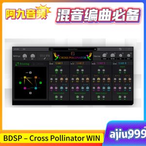 BDSP – Cross Pollinator v1.0.3 WIN-阿九音频
