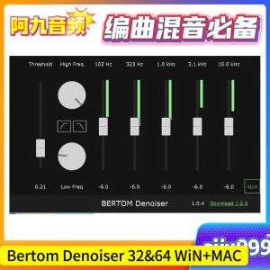 Bertom Denoiser 32&64位 v1.2.0 WiN+MAC-阿九音频