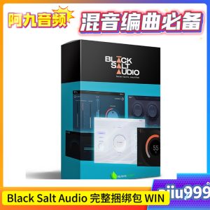 Black Salt Audio 完整捆绑包 [16.02.2024] – 插件包 WIN-阿九音频