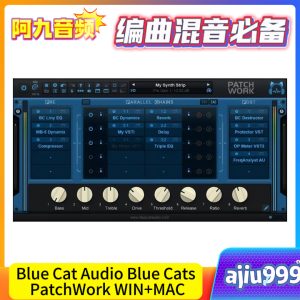 Blue Cat Audio Blue Cats PatchWork V2.65 WIN+MAC-阿九音频