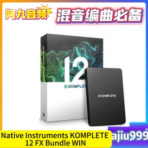 Native Instruments KOMPLETE 12 FX Bundle 2023.2 WIN-阿九音频