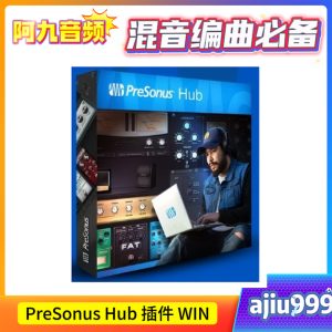 Hub v1.5.0 插件 WIN-阿九音频