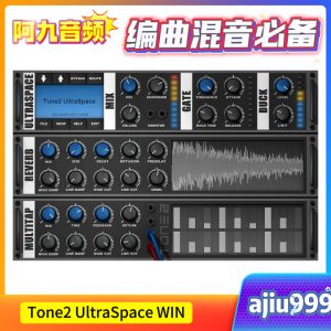 Tone2 UltraSpace WIN-阿九音频