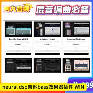 neural dsp吉他bass效果器插件 WIN-阿九音频