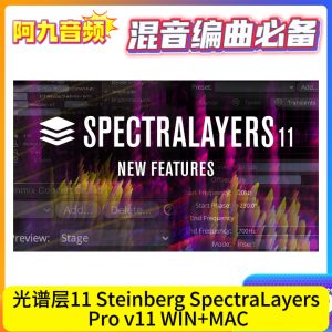 光谱层11 Steinberg SpectraLayers Pro v11 WIN&MAC（附安装教程）-阿九音频