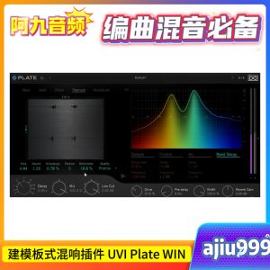 建模板式混响插件 UVI Plate WIN-阿九音频