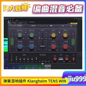 弹簧混响插件 Klanghelm TENS WIN-阿九音频