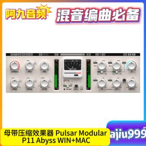 母带压缩效果器 Pulsar Modular P11 Abyss v2.0.5 WIN+MAC-阿九音频