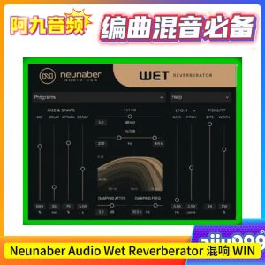 湿度混响插件 Neunaber Audio – Wet Reverberator WIN-阿九音频