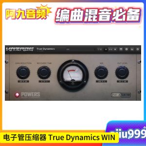 电子管压缩器 True Dynamics WIN-阿九音频