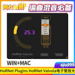 电子管仿真器 HoRNet Valvola 1.1.1 WIN+MAC-阿九音频