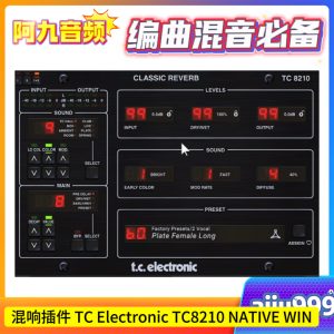 经典混响插件 TC Electronic TC8210 NATIVE WIN-阿九音频