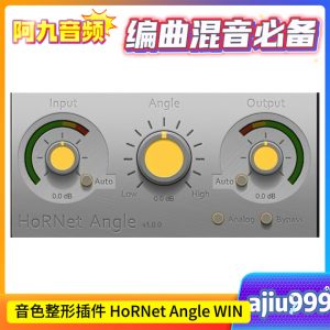 音色整形插件 HoRNet Angle v1.0.1 WIN-阿九音频