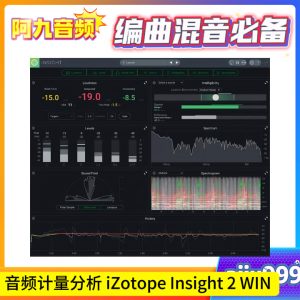 音频计量分析插件 iZotope Insight 2 v2.4.0 WIN-阿九音频