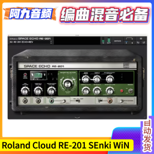 Roland Cloud RE-201 v1.0.1 SEnki WiN-阿九音频