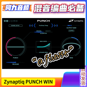 智能动态轮廓插件 Zynaptiq PUNCH v1.0.0 WIN-阿九音频