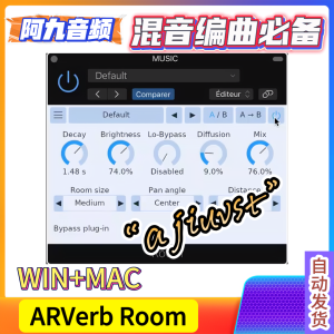 ARVerb Room 1.5.5 WIN+MAC-阿九音频