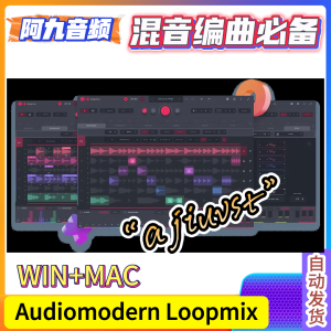 创意LOOP混音器 Audiomodern Loopmix v.1.0.2 WiN+MAC-阿九音频