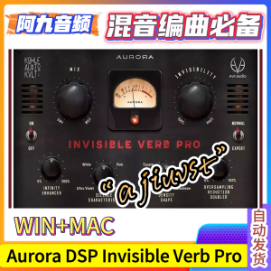 混响插件 Aurora DSP Invisible Verb Pro V1.6.6 WIN+MAC-阿九音频