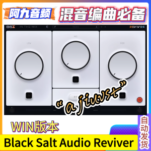 音频动态增强插件 Black Salt Audio Reviver v1.0.2 WIN-阿九音频