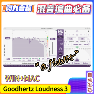 响度插件 Goodhertz Loudness 3 V3.9.3 WiN+MAC-阿九音频
