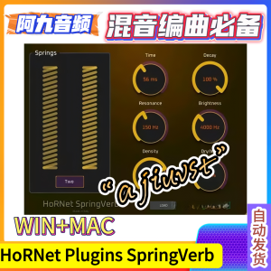HoRNet Plugins SpringVerb V1.0.2 WiN+MAC-阿九音频