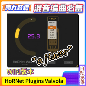 HoRNet Plugins Valvola V1.1.1 WIN+MAC-阿九音频