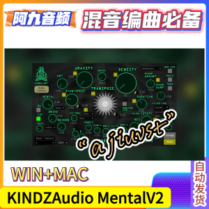 KINDZAudio MentalV2 v2.3.1 WIN+MAC-阿九音频