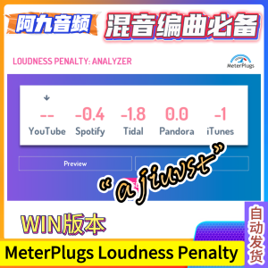 响度分析插件 MeterPlugs Loudness Penalty v1.7.0 WIN-阿九音频