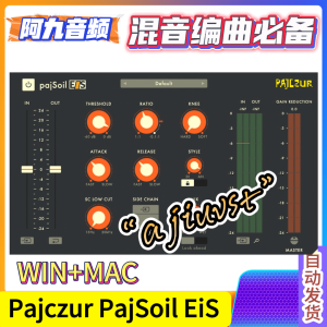 多功能压缩器 Pajczur PajSoil EiS V4.1 WiN+MAC-阿九音频