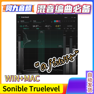 响度与动态的计量插件 Sonible Truelevel v1.0.0 WIN+MAC-阿九音频
