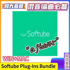 高质量混音插件合集 Softube Plug-Ins Bundle 2021 WIN+ v1.3.10 MAC-阿九音频