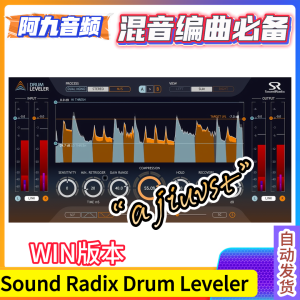 鼓组动态增益插件 Sound Radix Drum Leveler v1.2.0 WIN-阿九音频