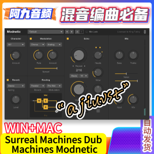 Surreal Machines Dub Machines Modnetic v1.3.1 WIN+MAC-阿九音频